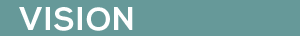 Vision
